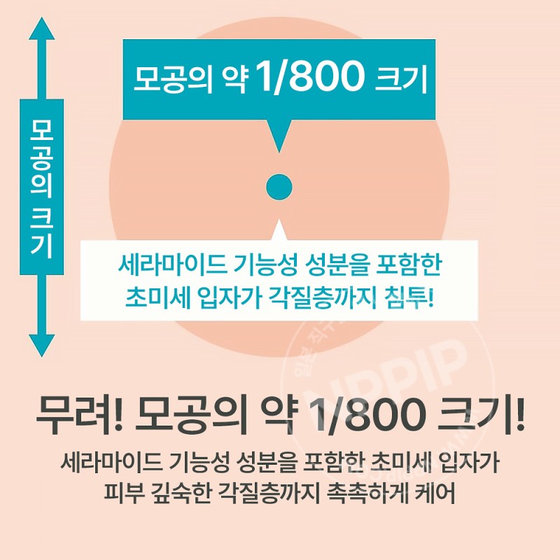 큐렐 딥모이스쳐 스프레이 미스트 250g