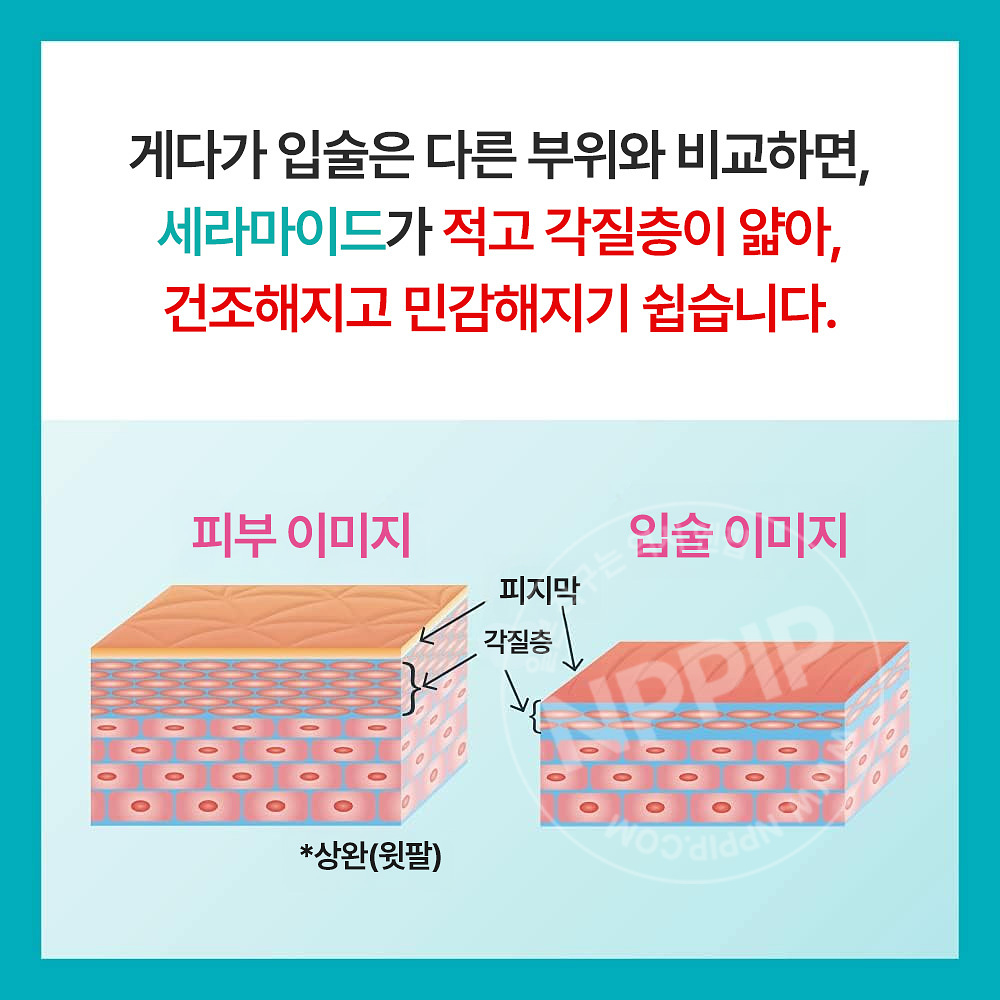 큐렐 립케어 크림 4.2g