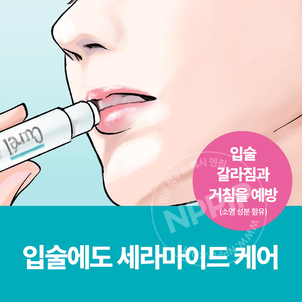 큐렐 립케어 크림 4.2g