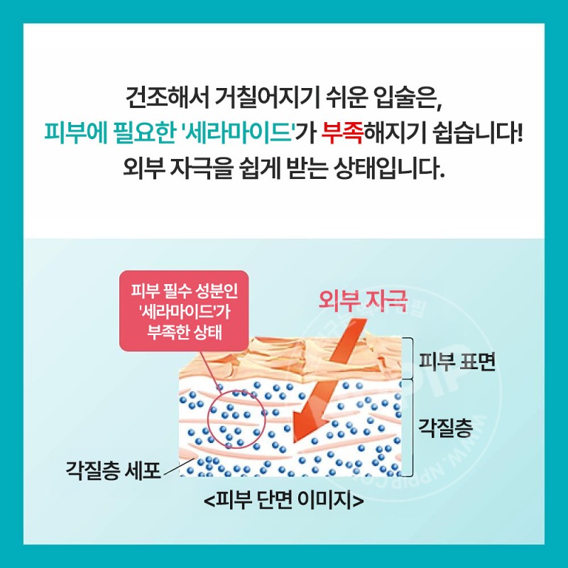 큐렐 립케어 크림 4.2g