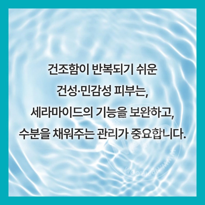 큐렐 립케어 크림 4.2g