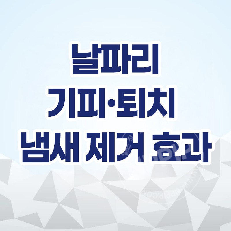 킨쵸 코바에코너스 휴지통용 부패억제W 미향성