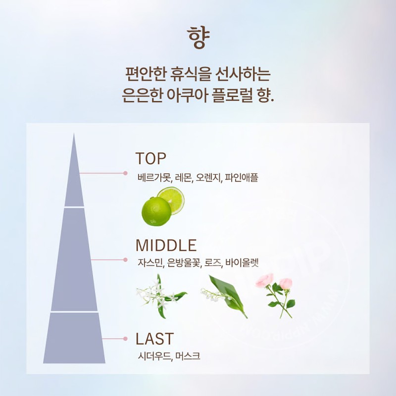 시세이도 엘릭시르 데이케어 레볼루션 톤업 크림 퓨어베이지 35g