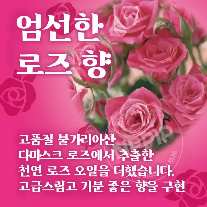 킨쵸 금새 모기향 로즈향기 10개