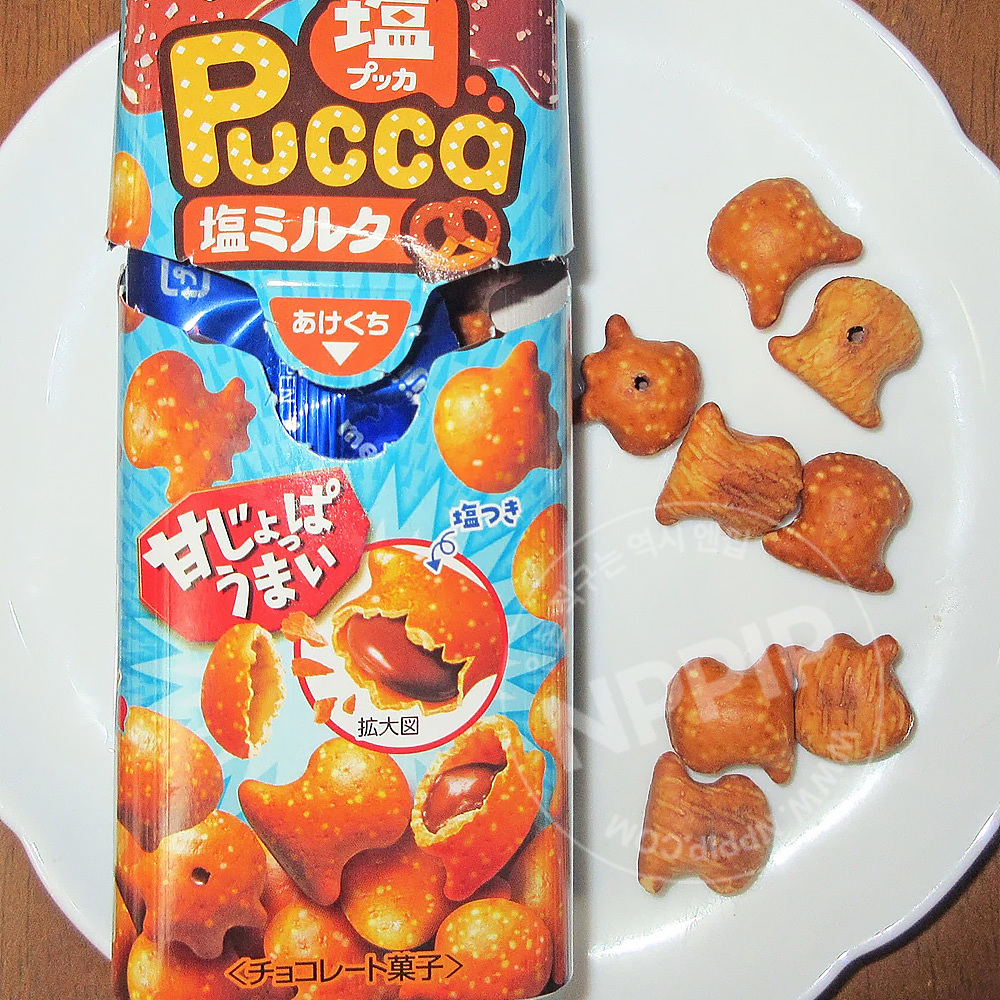 메이지 pucca 푸카 소금 밀크 일본 초콜릿 과자 39g