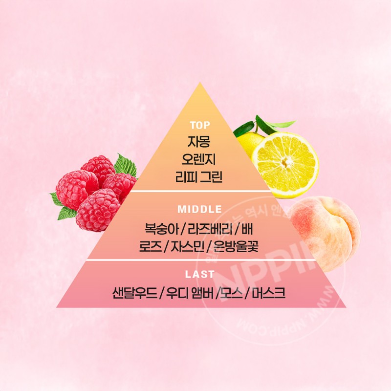 카오 8x4 롤온 데오드란트 프레쉬 플로럴향 45ml