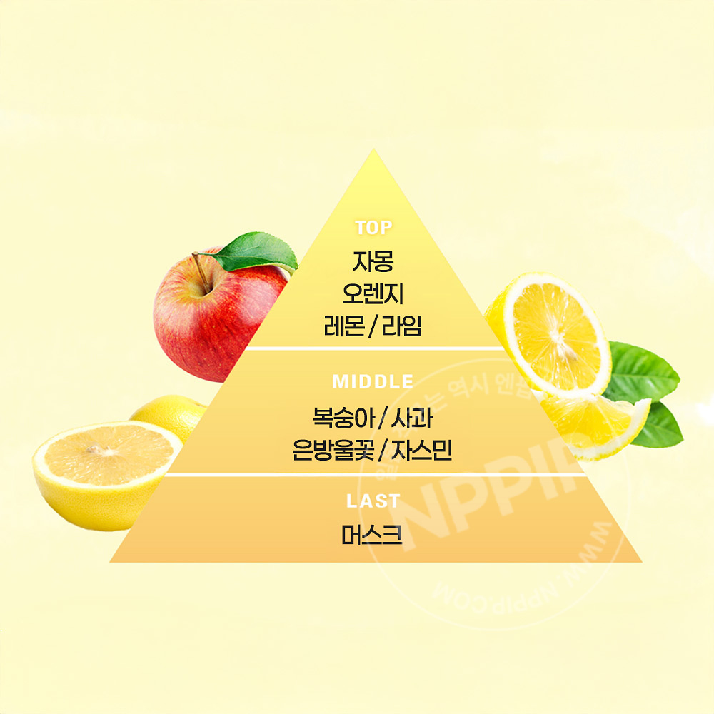 카오 8x4 롤온 데오드란트 쥬시 시트러스향 45ml