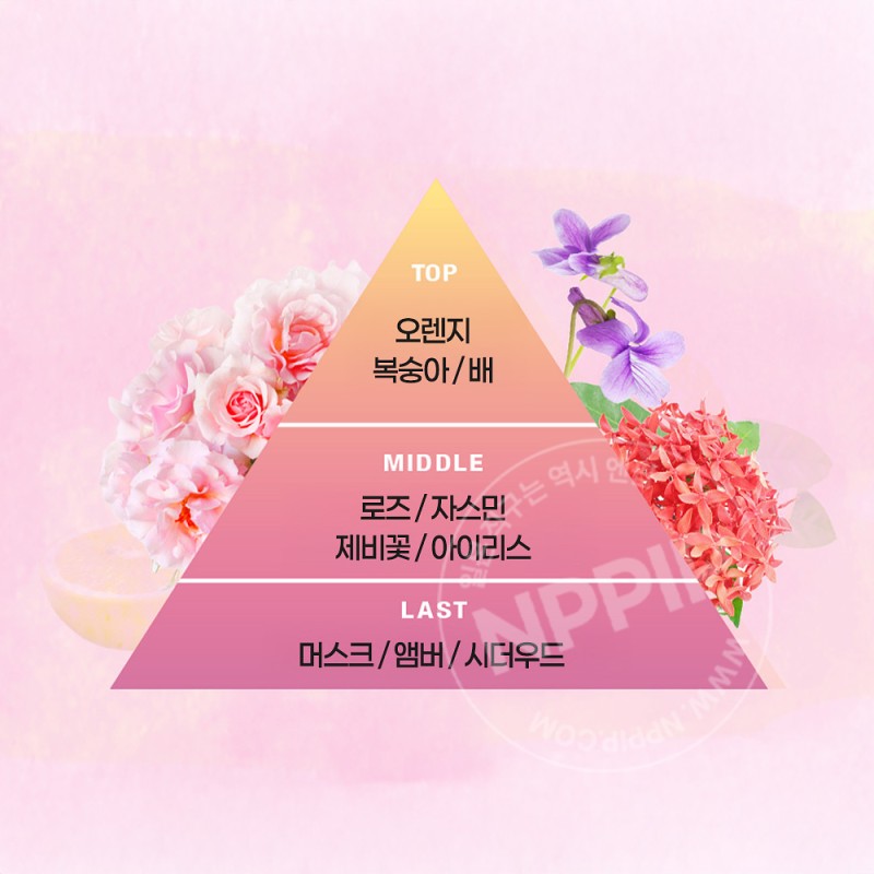 카오 8x4 롤온 데오드란트 로즈 버베나향 45ml