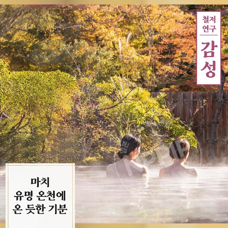 바스크린 일본의 명탕 시리즈 입욕제 토토노유 여행 10봉입