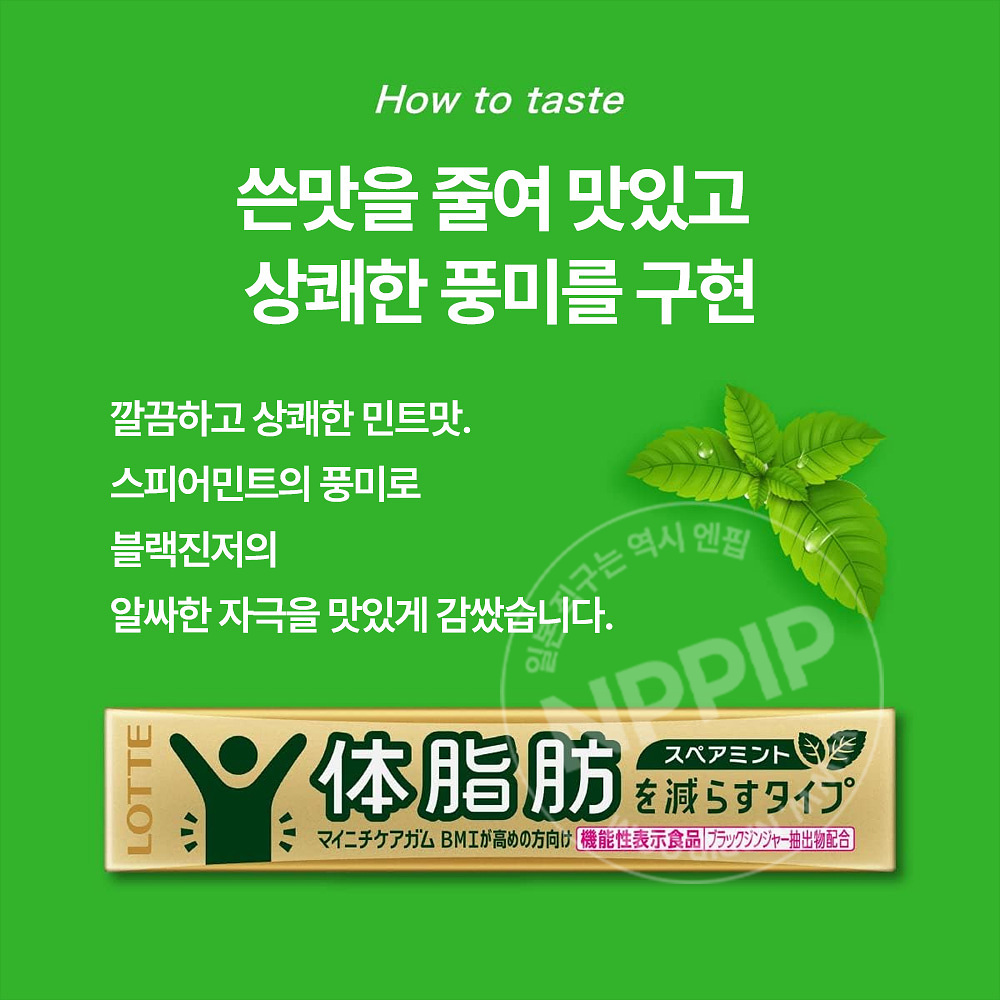 롯데 체지방 케어 껌 스피아민트맛 14개입