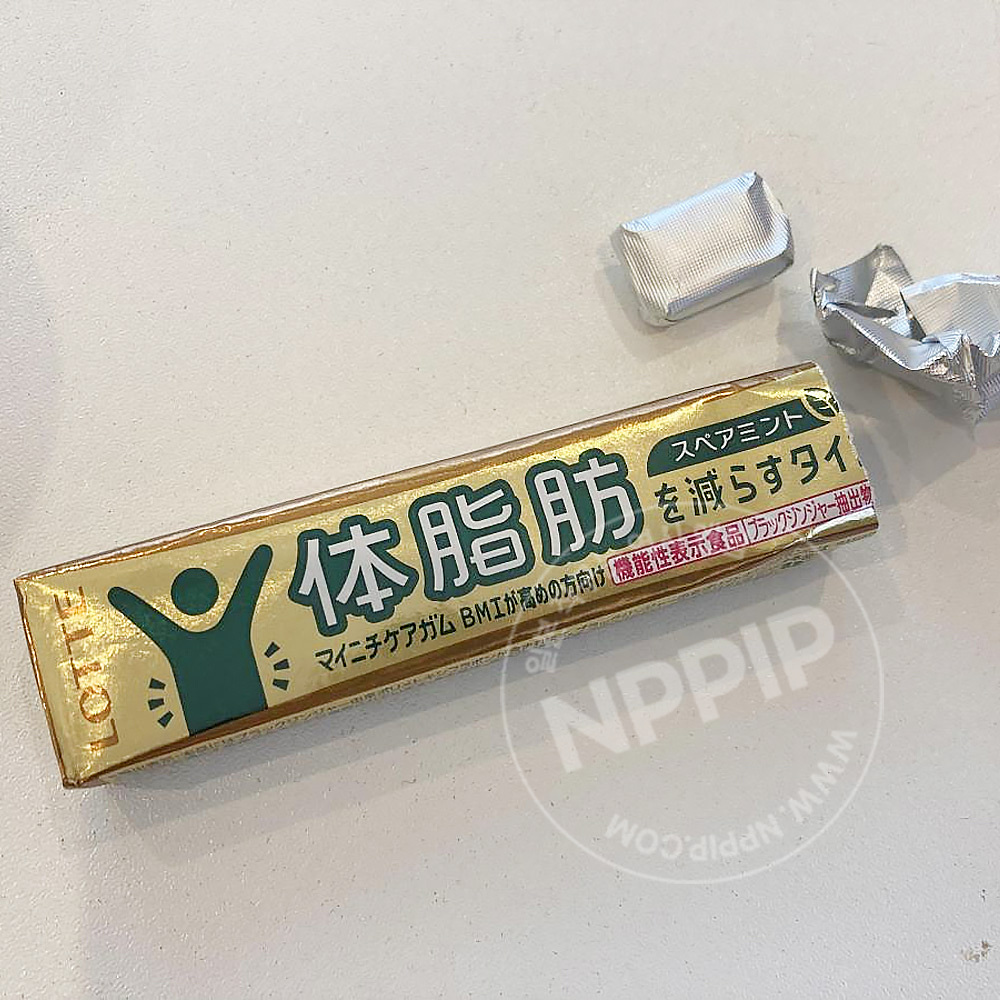 롯데 체지방 케어 껌 스피아민트맛 14개입