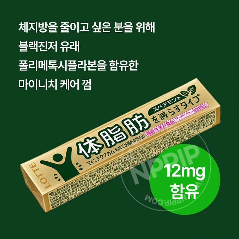 롯데 체지방 케어 껌 스피아민트맛 14개입