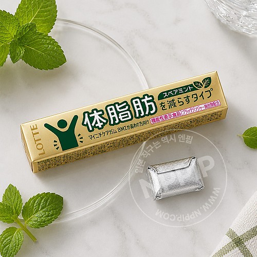 롯데 체지방 케어 껌 스피아민트맛 14개입