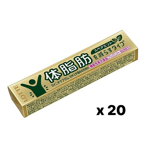 롯데 체지방 케어 껌 스피아민트맛 14개입 20개 세트