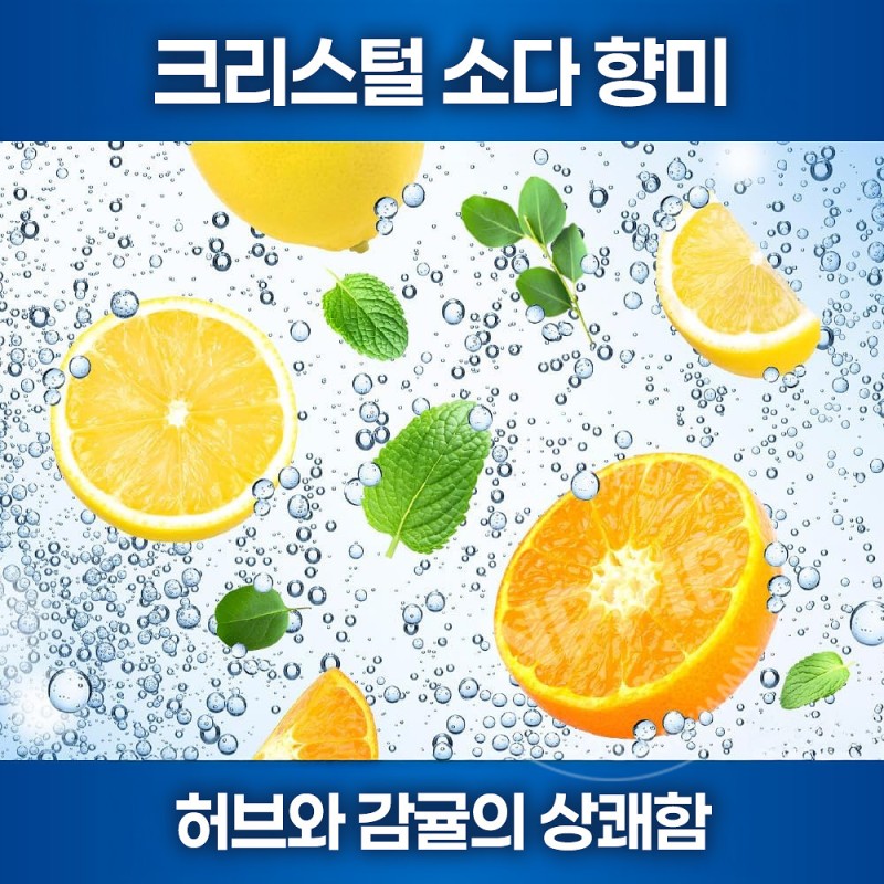 카오 퓨오라 탄산 치약 95g