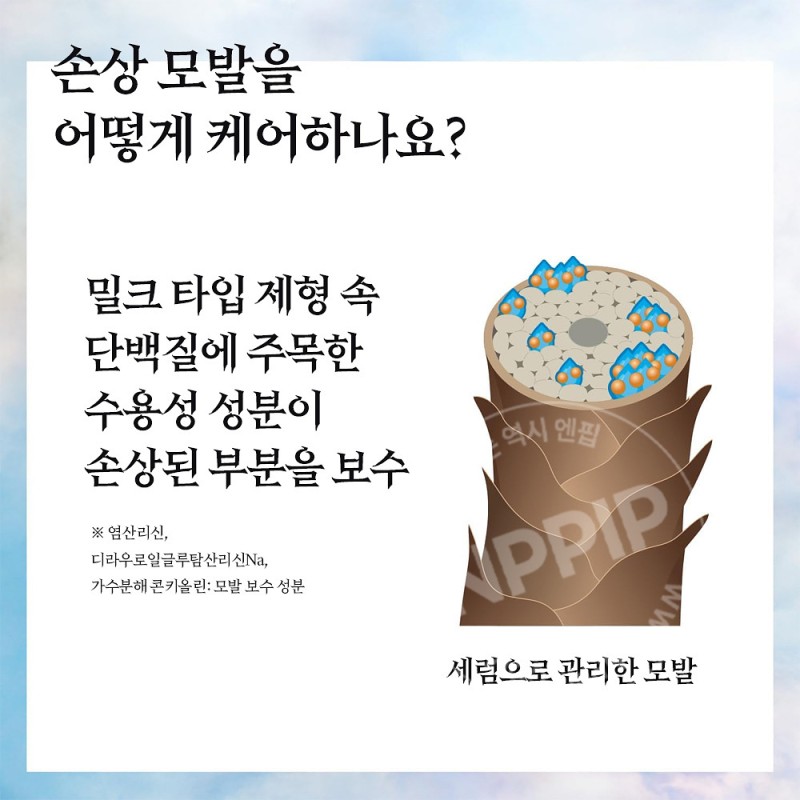 플러스투모로우 +tmr 모이스트 샴푸 470ml