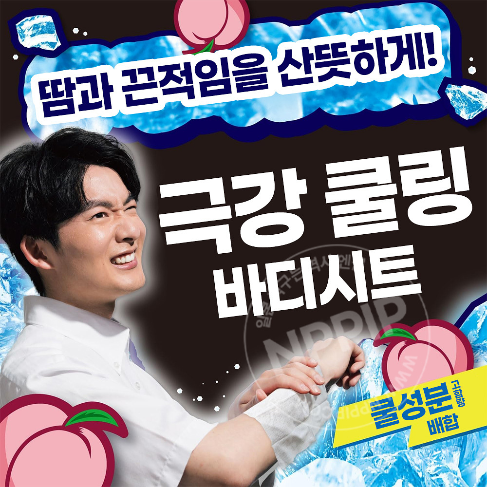 어스제약 아이스논 아이스킹 극냉 냉감 바디시트 피치향 30매입