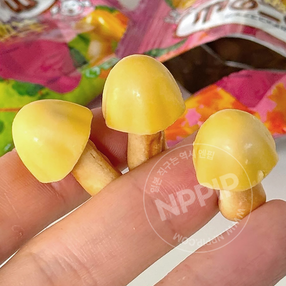 메이지 키노코노야마 버섯산 고구마맛 96g