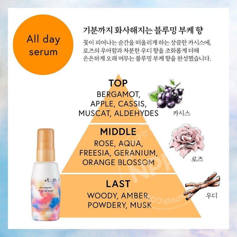 플러스투모로우 +tmr 올데이 헤어 세럼 80ml