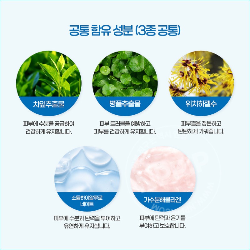 돈키호테 도라에몽 페이스 마스크팩 3매입 도라에몽 도라미
