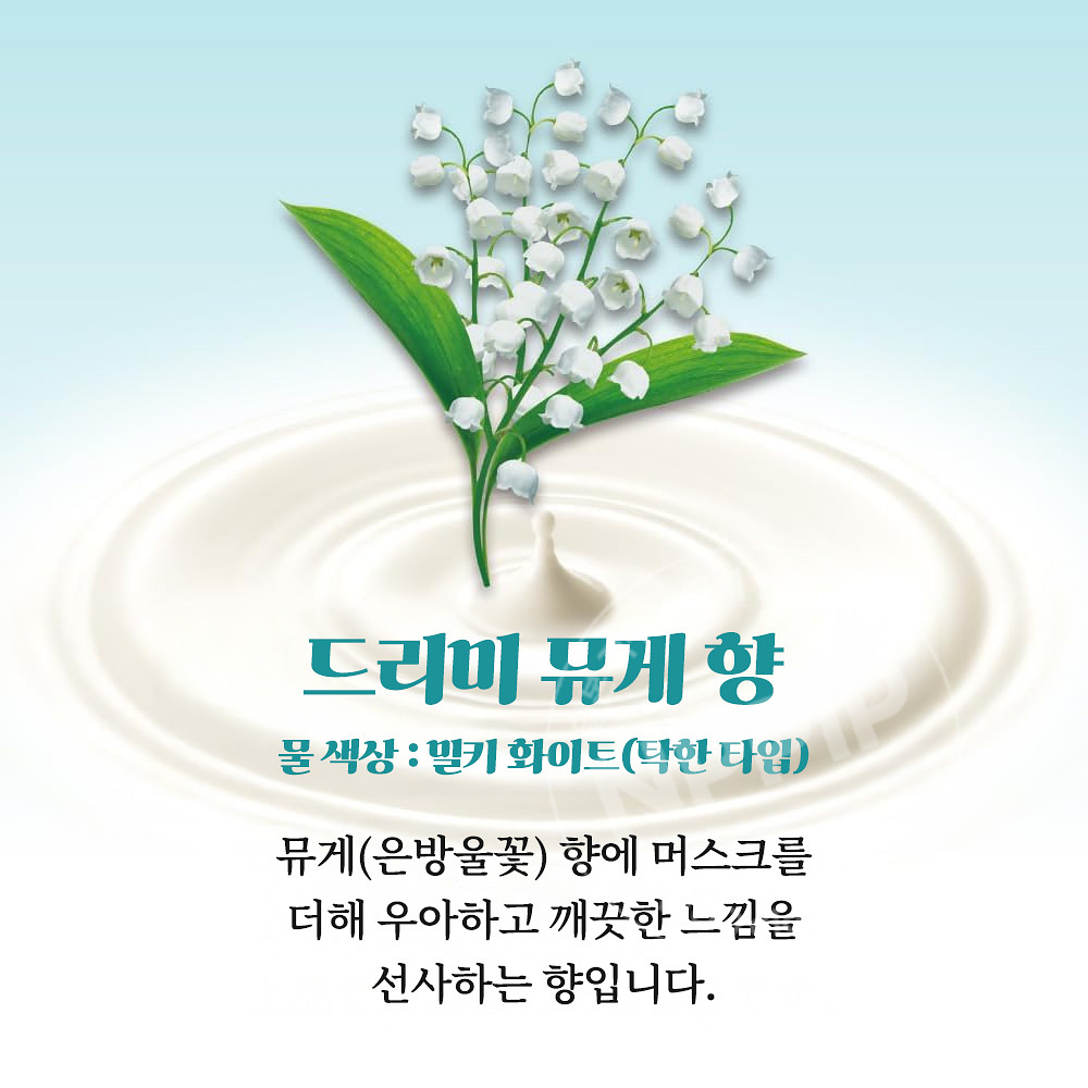 카오 바브 밀키 아로마 12정입