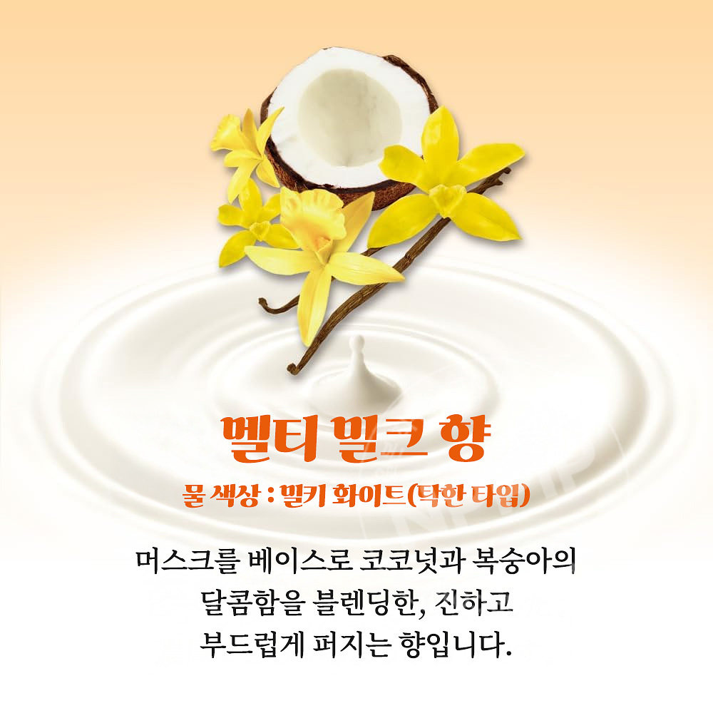 카오 바브 밀키 아로마 12정입