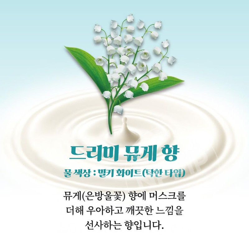 카오 바브 밀키 아로마 12정입