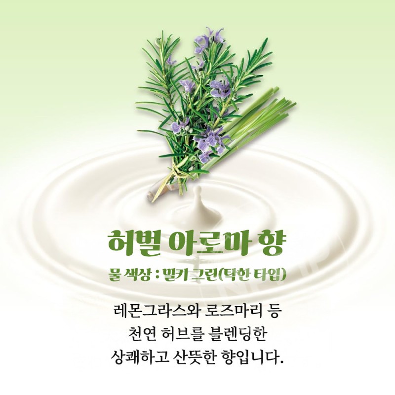 카오 바브 밀키 아로마 12정입