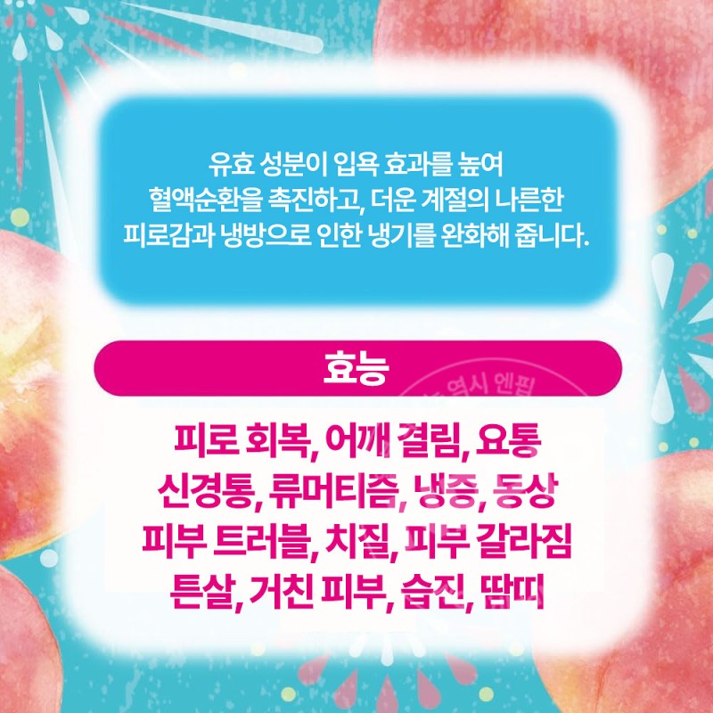 하쿠겐 어스 좋은 온천 여행 입욕제 니고리유 쿨타입 복숭아향 600g
