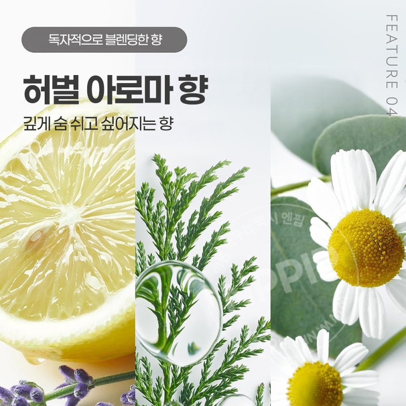 보타니스트 헤어 오일 02 데미지 손상모용 시트러스 라벤더향 100ml
