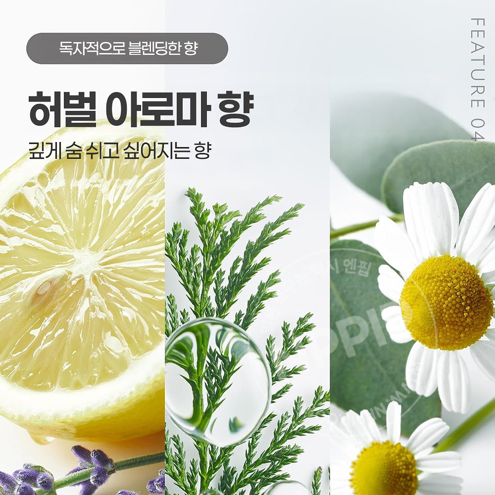 보타니스트 헤어 오일 03 하이데미지 손상모용 카시스 달리프향 100ml