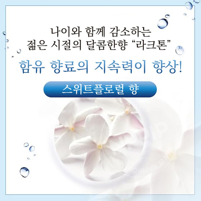 로토제약 데오코 스칼프 두피 케어 샴푸 리필 370ml