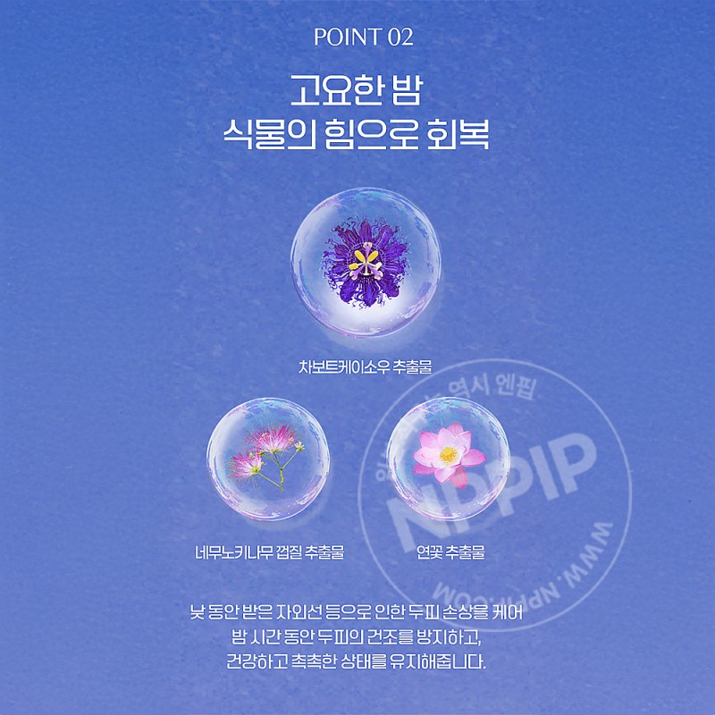 YOLU 요루 캄 나이트 리페어 샴푸 440ml