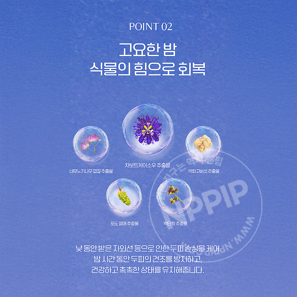 YOLU 요루 딥 나이트 리페어 샴푸 400ml
