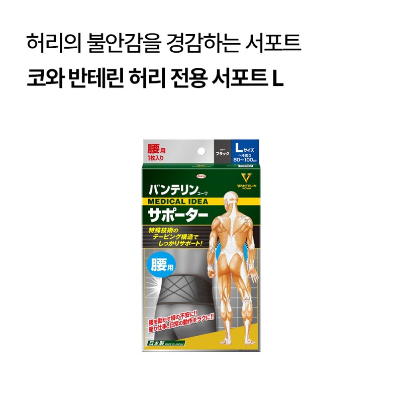 코와 반테린 허리 전용 보호대 서포트 (M/L/LL)