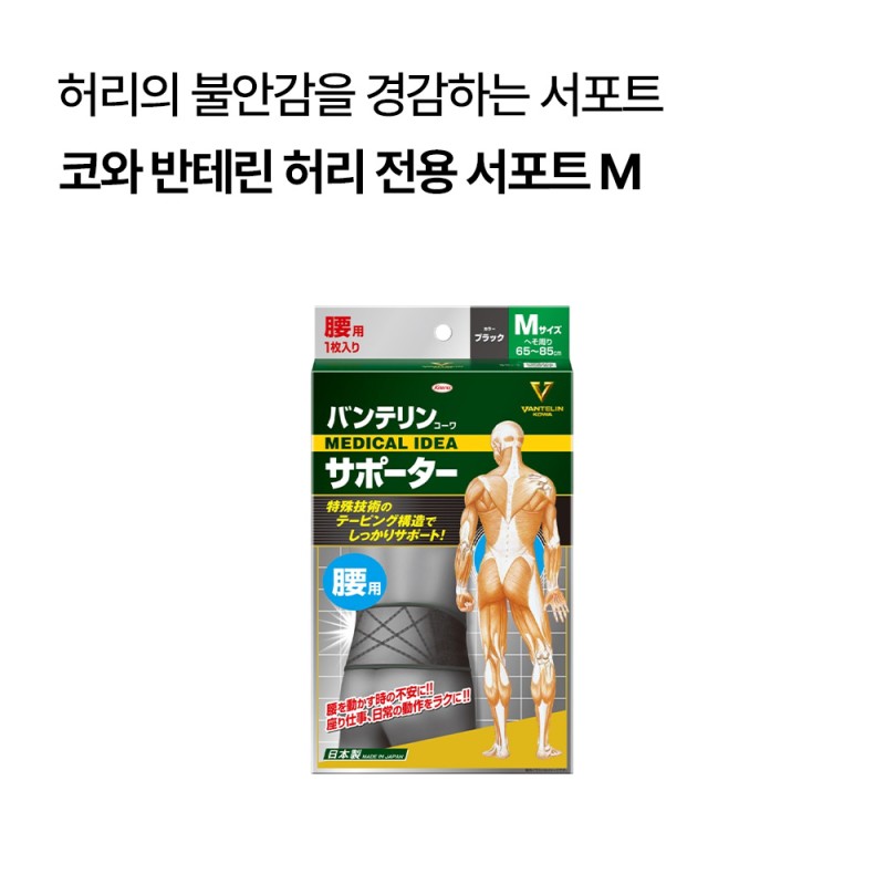 코와 반테린 허리 전용 보호대 서포트 (M/L/LL)