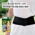 코와 반테린 허리 전용 보호대 서포트 (M/L/LL)