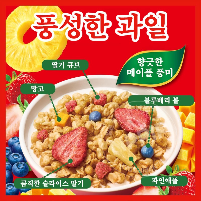 닛신 고로그라 그래놀라 시리얼 프리미엄 과일 280g