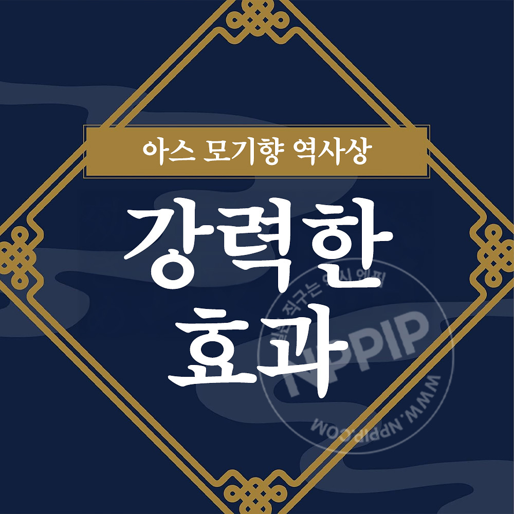 아스 모기향 프로 프리미엄 30개 캔