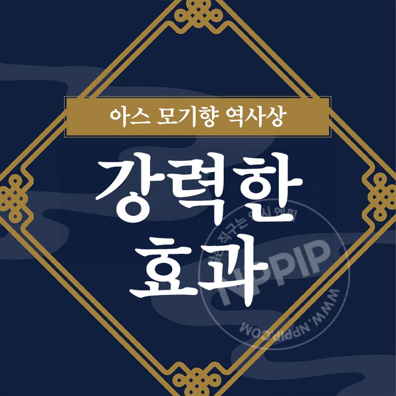 아스 모기향 프로 프리미엄 30개 캔