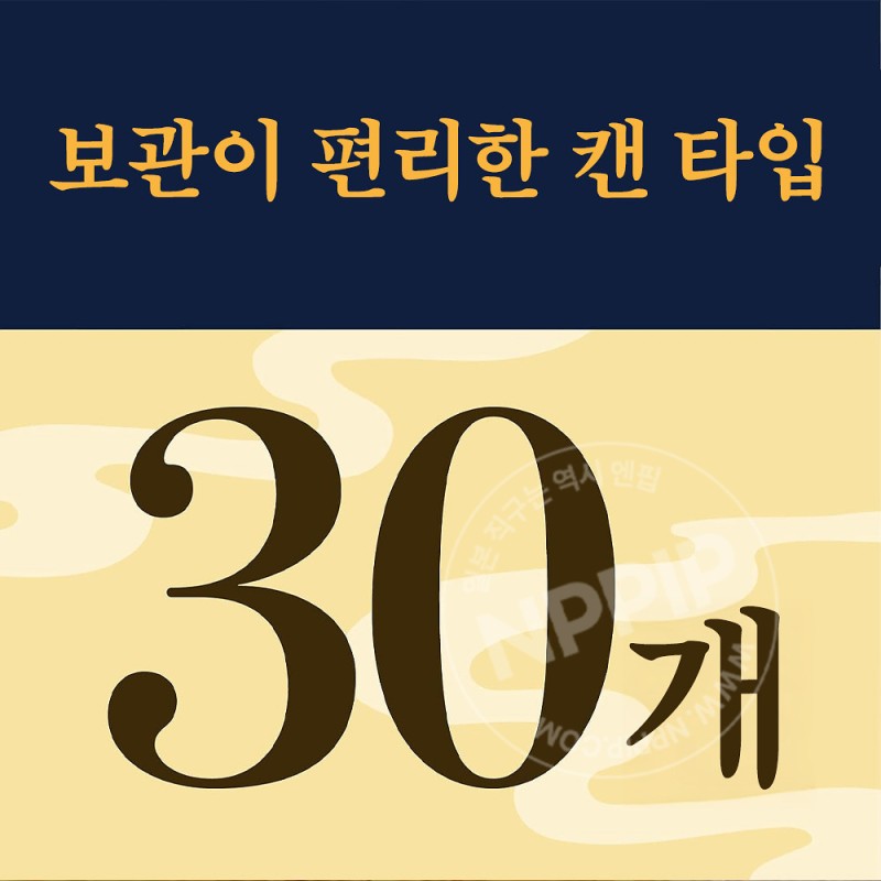 아스 모기향 프로 프리미엄 30개 캔