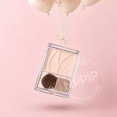 세잔느 톤필터 하이라이터 일본 화장품 01 필터베이지