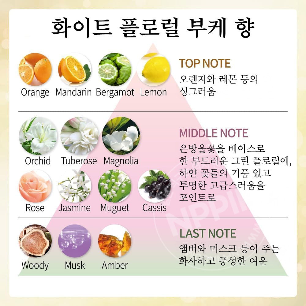 DEW 듀 스페리아 리페어 로션 촉촉 150ml
