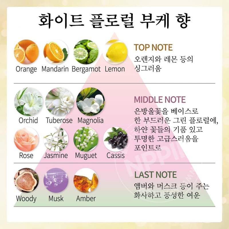DEW 듀 스페리아 리페어 로션 촉촉 150ml