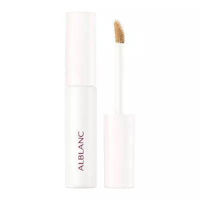 알브랑 클래리티블랑 카모플라 칩 01 라이트 컨실러 6g SPF10 PA++