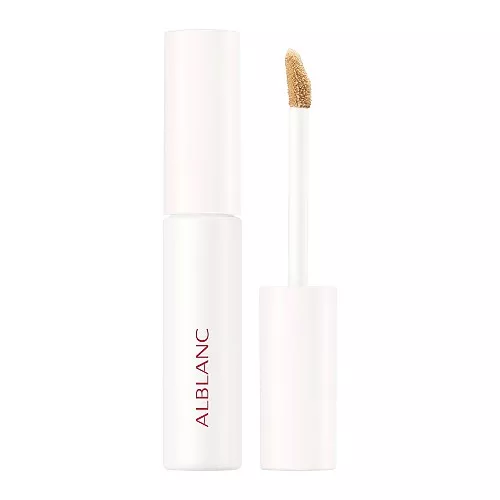 알브랑 클래리티블랑 카모플라 칩 01 라이트 컨실러 6g SPF10 PA++