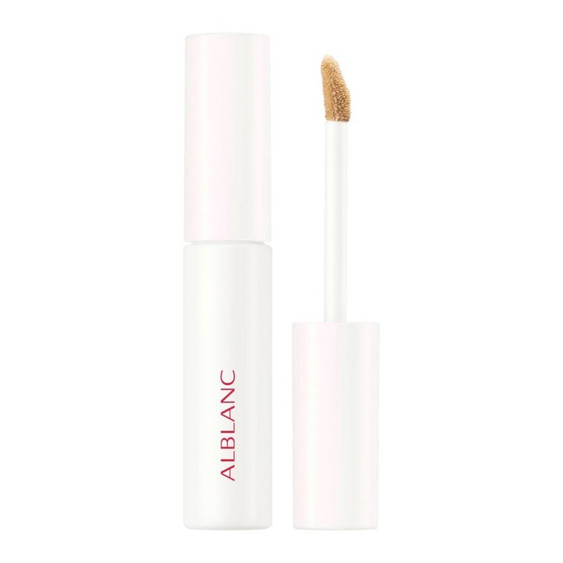 알브랑 클래리티블랑 카모플라 칩 01 라이트 컨실러 6g SPF10 PA++