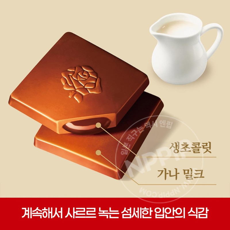 롯데 프리미엄 가나 농후 생초콜릿 풍부한 밀크맛 12개입