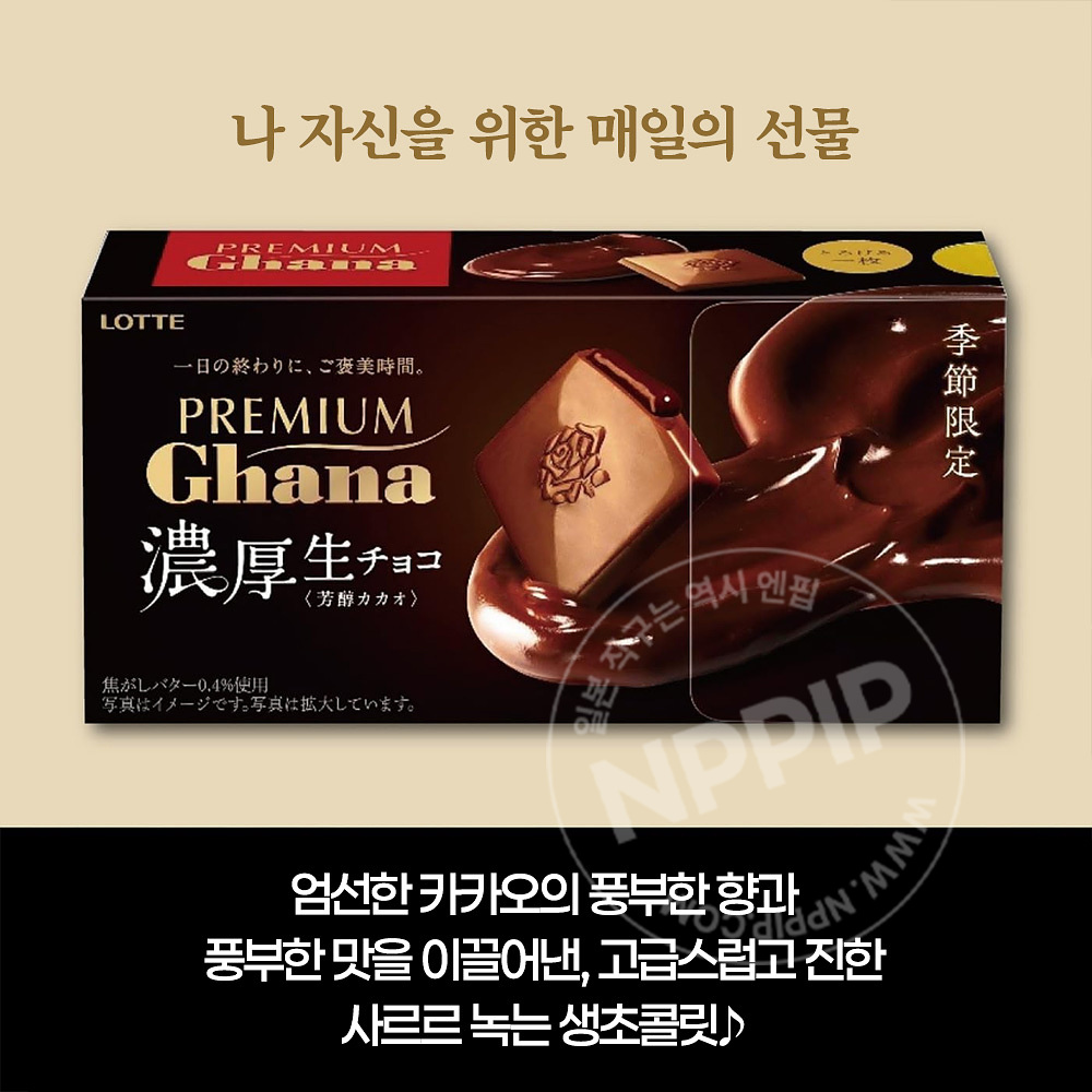 롯데 프리미엄 가나 농후 생초콜릿 풍부한 카카오 12개입