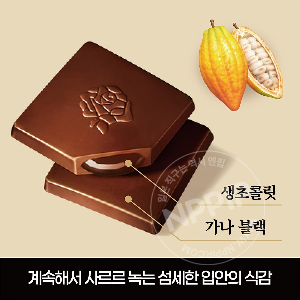 롯데 프리미엄 가나 농후 생초콜릿 풍부한 카카오 12개입